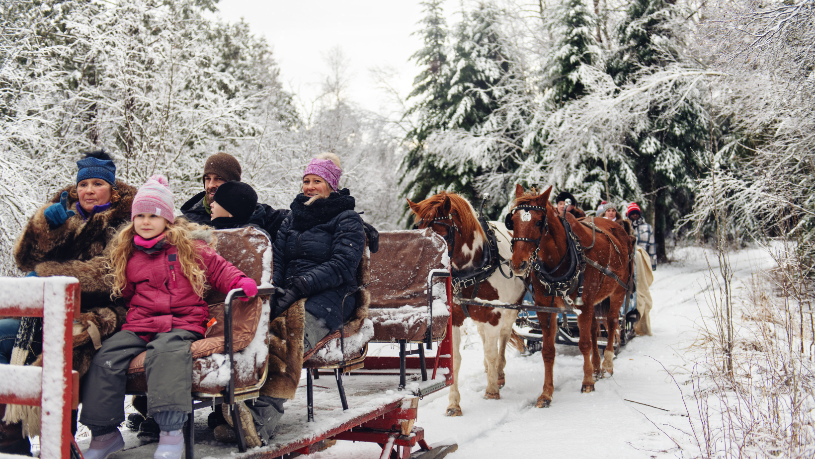 Sleigh Ride