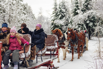 Embracing the Magic: Winter Wonderland Adventures in NH